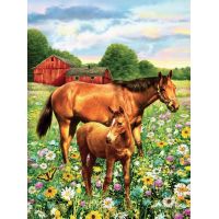 Creatoys Malování 22 x 30 cm Koně na pastvině
