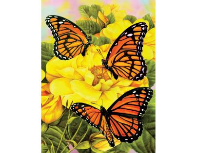 Creatoys Malování 22 x 30 cm Motýlci
