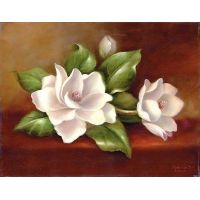 Creatoys Malování na plátno 28 x 35 cm Magnolie
