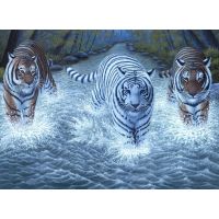Creatoys Malování velké Royal Tři tygři