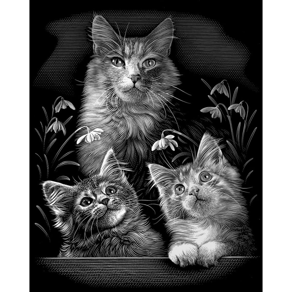 Creatoys Reeves Škrábací obrázek stříbrný 20 x 25 cm - Kočky
