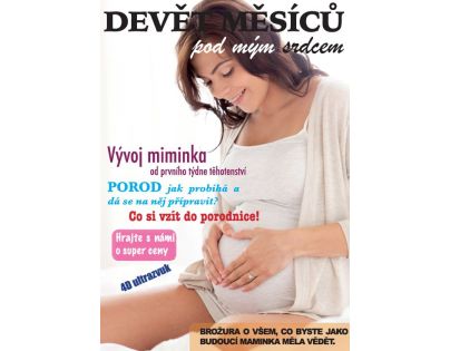 DZV Devět měsíců pod mým srdcem