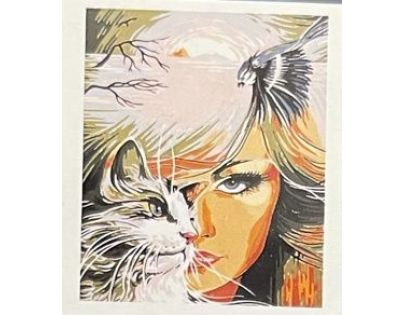 Creatoys Diamantový obrázek Dívka s kočkou 30 x 40 cm