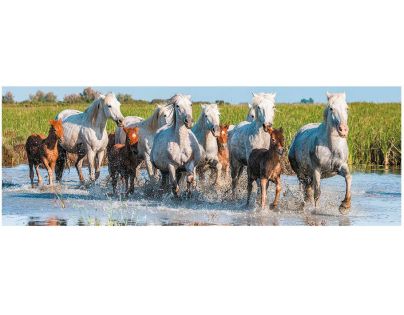 Dino Puzzle panoramatické Camargští koně 150 dílků