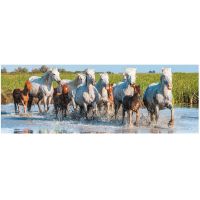 Dino Puzzle panoramatické Camargští koně 150 dílků 2