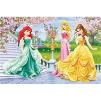 Dino Disney Princess Puzzle Princezny u fontány 66 dílků 2