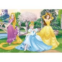Dino Disney Princess Puzzle Princezny v zahradě 66 dílků 2