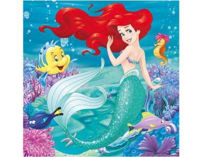 Dino Puzzle Disney Princess Já Princezna 3 x 55 dílků