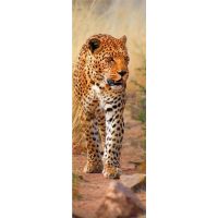 Dino Puzzle Panoramic Leopard z Keni 1000 dílků 2