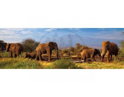 Dino Puzzle Panoramic Stádo slonů 1000 dílků