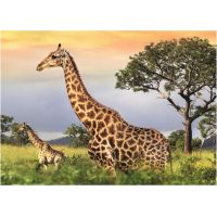 Dino Žirafí rodina 1000 puzzle