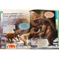 Sun Dinosauři a jiná prehistorická zvířata 3