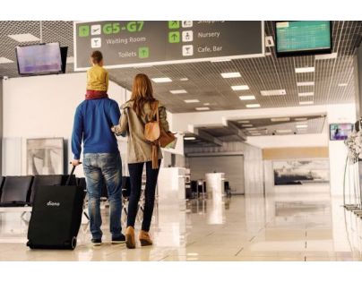 Diono Kočárek Traverze Travel Grey Linear - Poškozený obal 