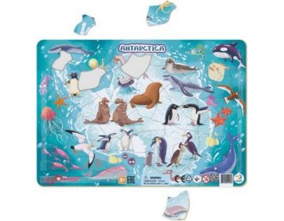 DoDo Puzzle Zvířata Antarktida 53 dílků
