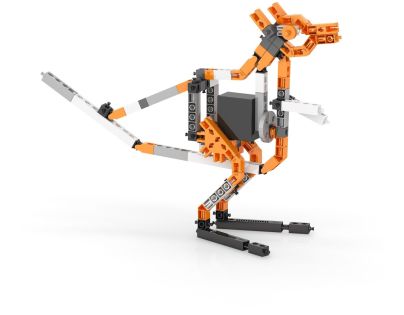 Engino Creative Builder 50 modelů s motorkem