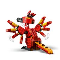 LEGO® Harry Potter™ 76448 Fawkes: Brumbálův fénix 4