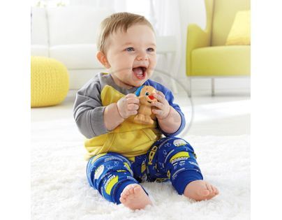 Fisher Price Chrastítko oblíbený kamarád - Pejsek