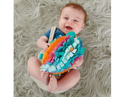 Fisher Price Duhový ježek