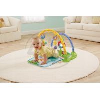 Fisher Price Hudební hrazdička Rainforest (Fisher Price BJL04) 4