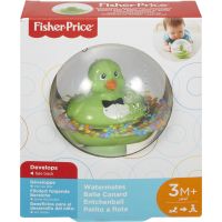 Fisher Price kachnička v kouli DVH21 Zelená 5