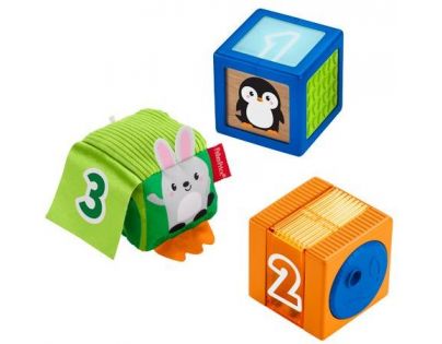 Fisher Price kostky pro rozvoj smyslů