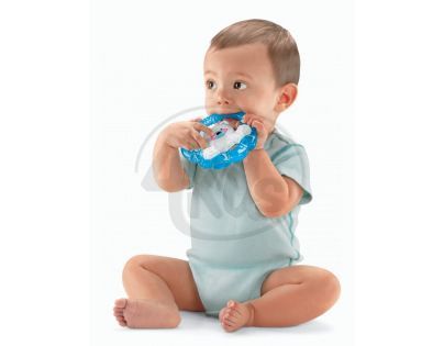 FISHER PRICE R6449 Kousátka