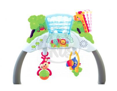 Fisher Price Baby Gear luxusní sedátko rainforest (BCG48)