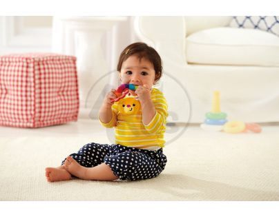 Fisher Price - Měkké kousátko medvěd (CDT90_CDT81)