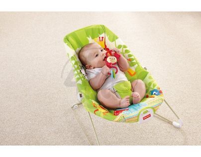 Fisher Price Přenosné sedátko - BCG47