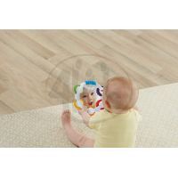 Fisher Price Chrastítko tamburínka BLT37 2