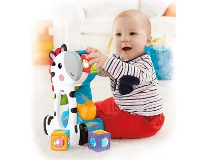 Fisher Price Zebra a kostky