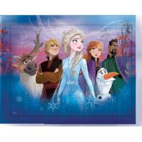 Spin Master Frozen 2 měnící se puzzle 3D 3 x 48 dílků 4