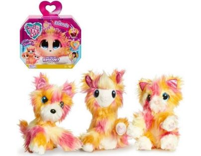 Fur Balls Touláček Tutti Frutti