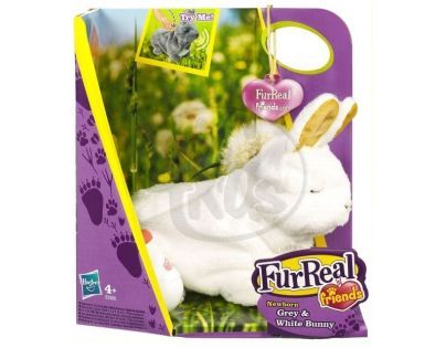 FurReal Friends Interaktivní zvířátka domácí