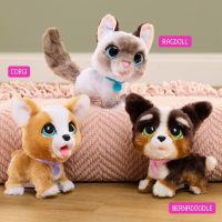 Furreal Friends Wag-a-Lot Kitty 6