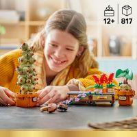 LEGO® Harry Potter™ 76474 Rostliny z hodiny bylinkářství v Bradavicích 3