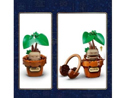 LEGO® Harry Potter™ 76474 Rostliny z hodiny bylinkářství v Bradavicích