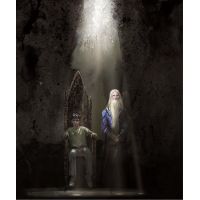 Albatros Harry Potter a Fénixův řád Ilustrované vydání J. K. Rowlingová - Poškozený obal 3