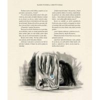 Albatros Harry Potter a Ohnivý pohár Ilustrované vydání J. K. Rowlingová 4