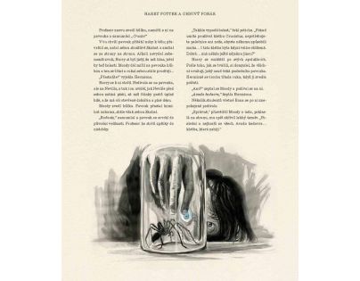 Albatros Harry Potter a Ohnivý pohár Ilustrované vydání J. K. Rowlingová