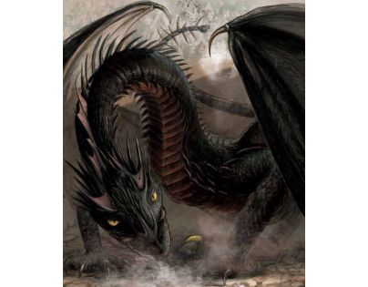 Albatros Harry Potter a Ohnivý pohár Ilustrované vydání J. K. Rowlingová