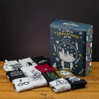 Epee Merch Harry Potter adventní kalendář ponožky 2