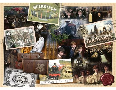 Harry Potter: Kouzelný svět 300 dílků