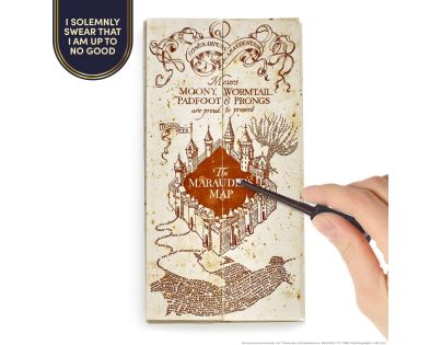 Harry Potter Pobertův tajný plánek