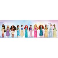Hasbro Disney Princess Panenka Vaiana 26,5 cm 6