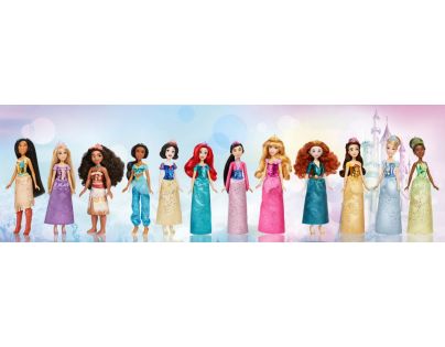 Hasbro Disney Princess Panenka Vaiana 26,5 cm