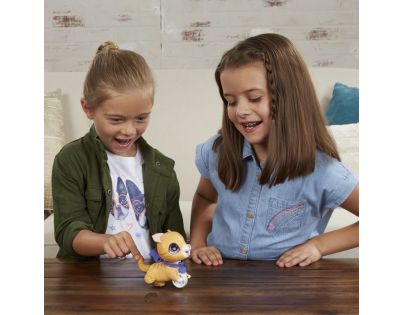 Hasbro FurReal Friends Peealots malá kočka