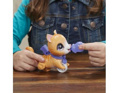 Hasbro FurReal Friends Peealots malá kočka