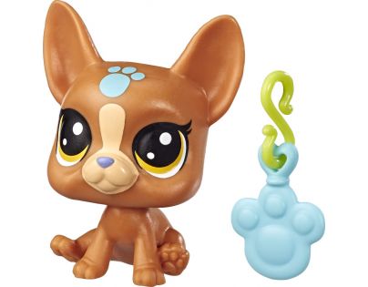 Hasbro Littlest Pet Shop Magické zvířátko