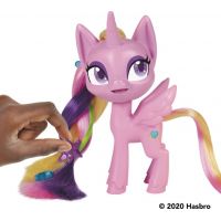 Hasbro My Little Pony Barevná hříva Princess Cadance 5
